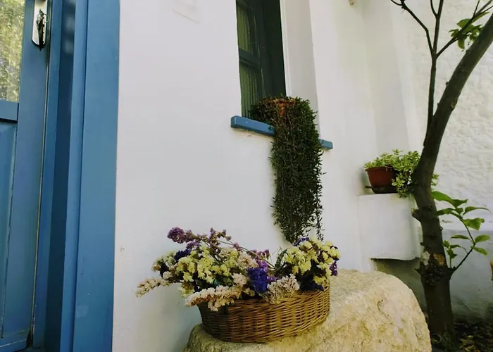 Eden In Teos Homestay szállás Seferihisar